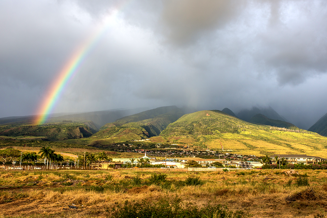 Lahaina: The Road to Rebuilding